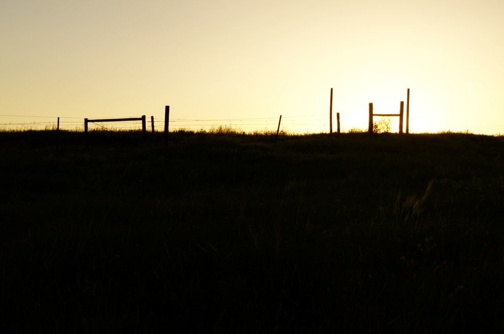 Fence post Sunrise
