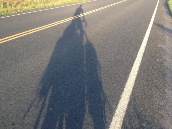 Bike shadow